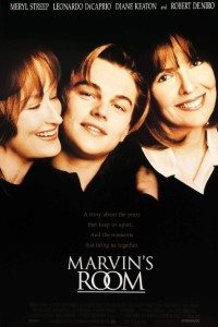 Download Marvin’s Room (1996) {English With Subtitles} BluRay 480p [500MB] || 720p [900MB] || 1080p [1.8GB]
