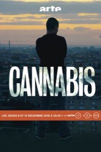 Download Cannabis (Season 1) French TV Series {Hindi Dubbed} 720p WeB-HD [350MB]