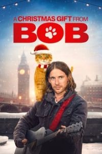 Download A Christmas Gift from Bob (2020) {English With Subtitles} 480p [400MB] || 720p [850MB] || 1080p [1.7GB]