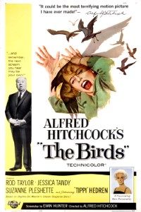 Download The Birds (1963) {Hindi-English} Esubs Bluray480p [410MB] || 720p [1.1GB] || 1080p [2.5GB]
