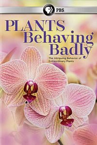 Download Plants Behaving Badly Season 1 Dual Audio (Hindi-English) Esubs WEB-DL 720p [700MB] || 1080p [1.5GB]