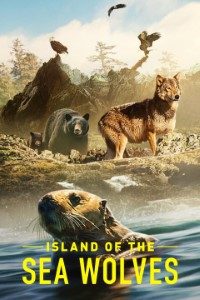 Download Island Of Sea Wolves (Season 1) Dual Audio {Hindi-English} WeB-DL 720p [300MB] || 1080p [2GB]