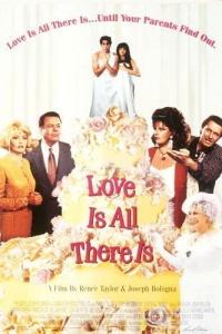 Download Love Is All There Is (1996) {English With Subtitles} 480p [450MB] || 720p [950MB]