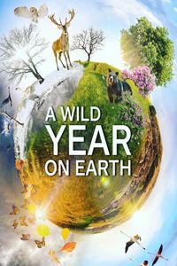 Download A Wild Year on Earth Season 1 (English with Subtitle) WeB-DL 720p [420MB] || 1080p [1GB]