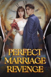 Download Perfect Marriage Revenge (Season 1) Kdrama [S01E12 Added] {Korean With English Subtitles} WeB-HD 720p [400MB] || 1080p [1.5GB]
